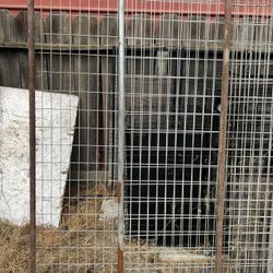 5x6 Dog Pen Panels (read Description)