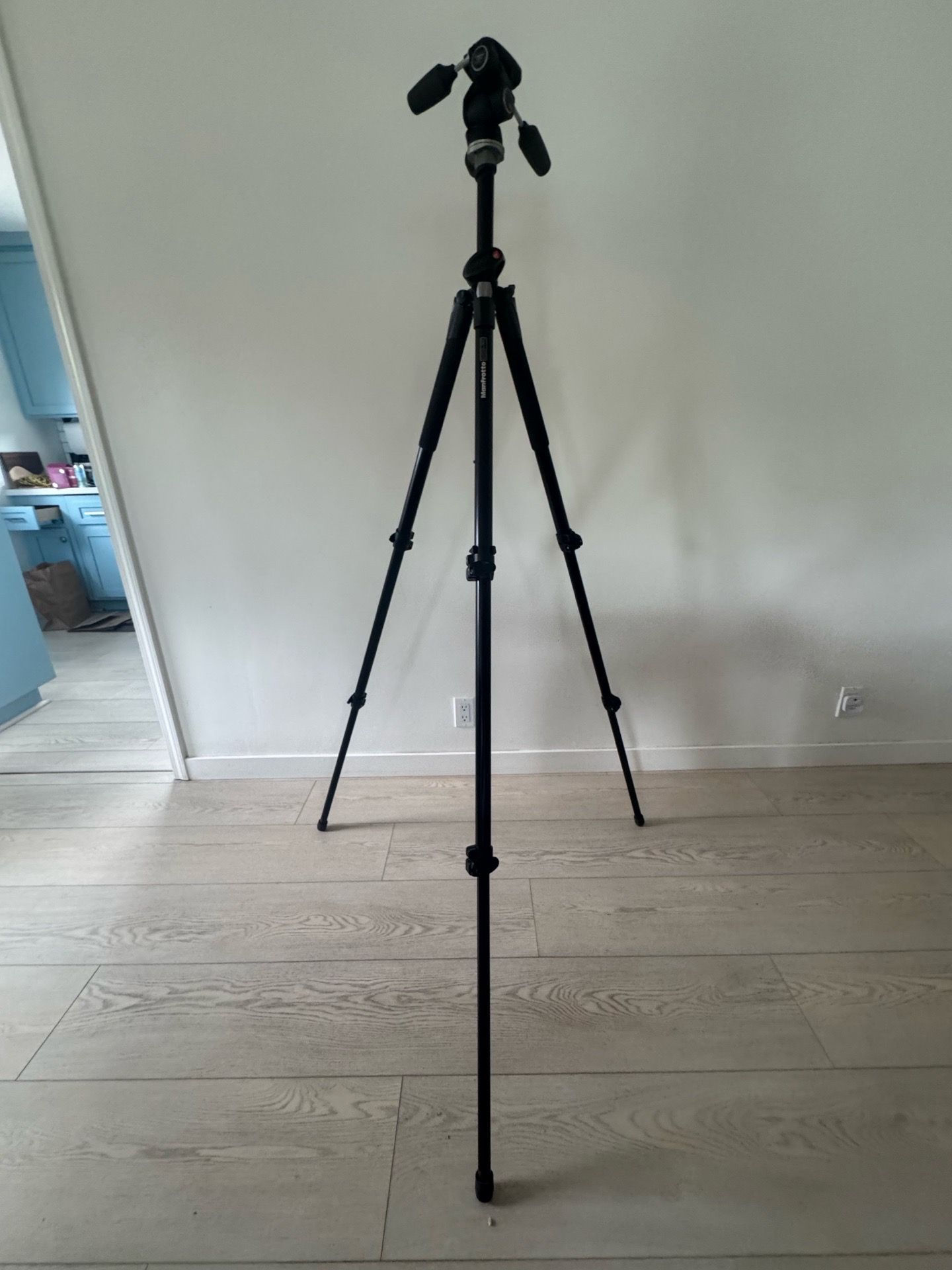 Manfrotto Tripod, Pan/Tilt Head, and Tripod Bag