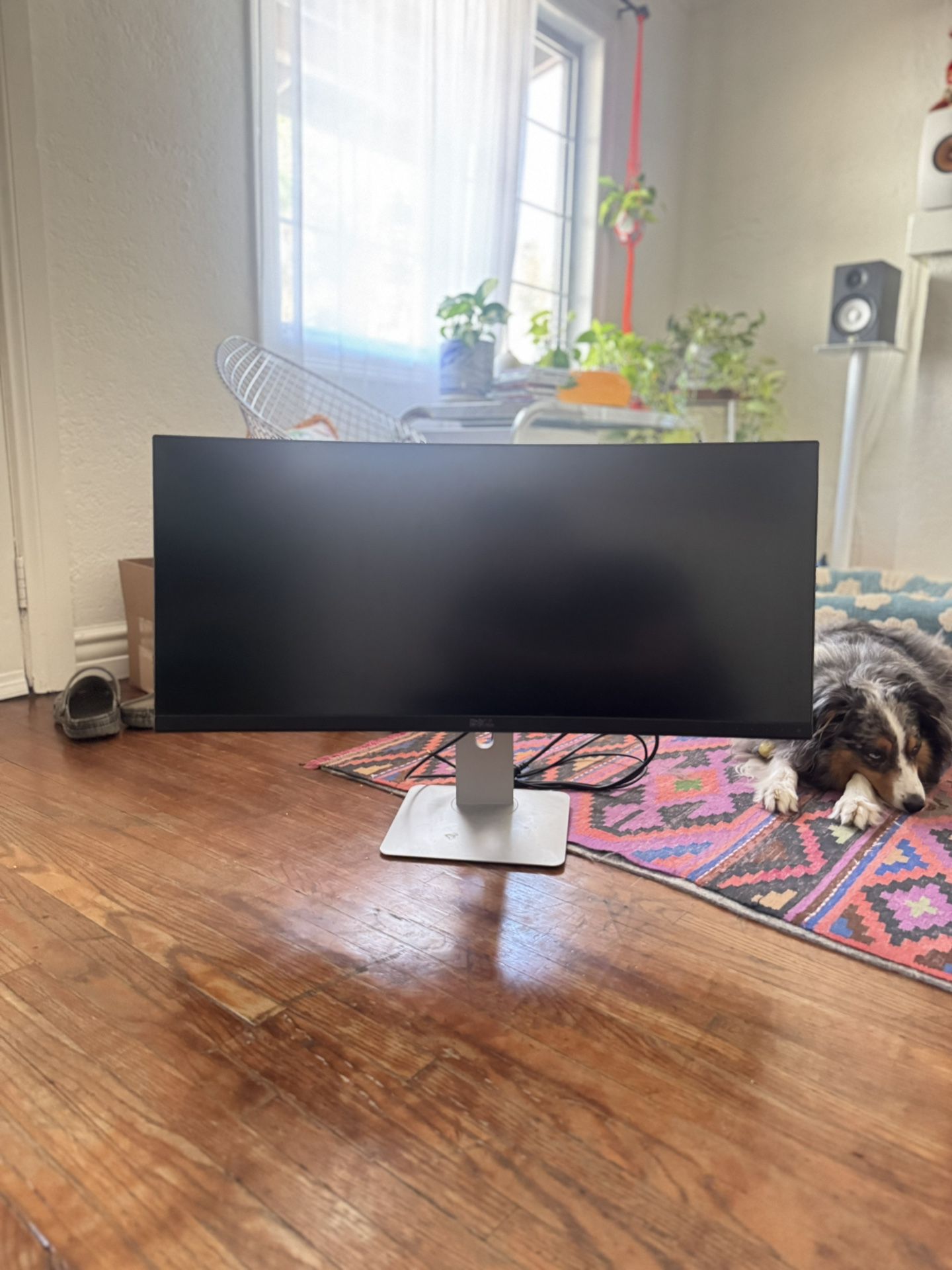 Dell 34” Curved monitor, U3415Wb