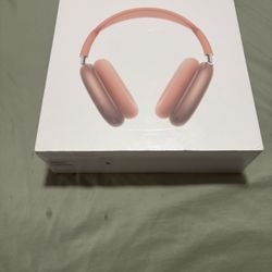 Apple Headphones 