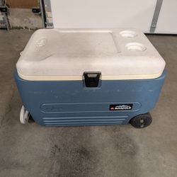 Igloo Max Cooler