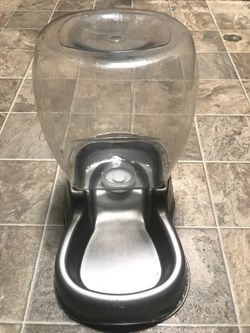 Animal Water Dispenser