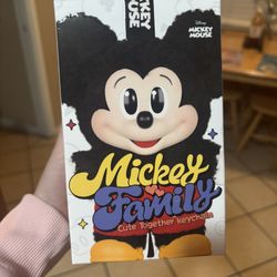 Mickey Family Blind Box (Donald Duck Unopened)