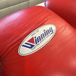 18 OZ WINNING BOXING GLOVES 