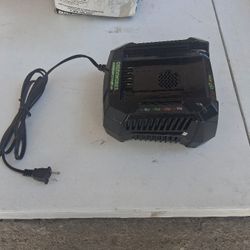 Greenworks Battery Charger 