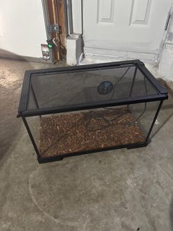 10 Gallon Reptile Terrarium Tank + Complete Light & Heat Kit