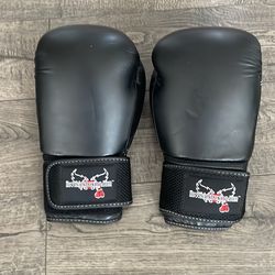 Century Kick Boxing Gloves