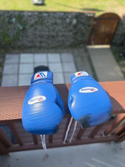 Authentic Wining boxing gloves