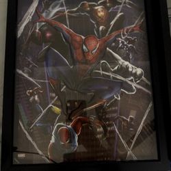 Spiderman Pictures Frames