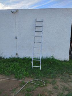 LADDER $50