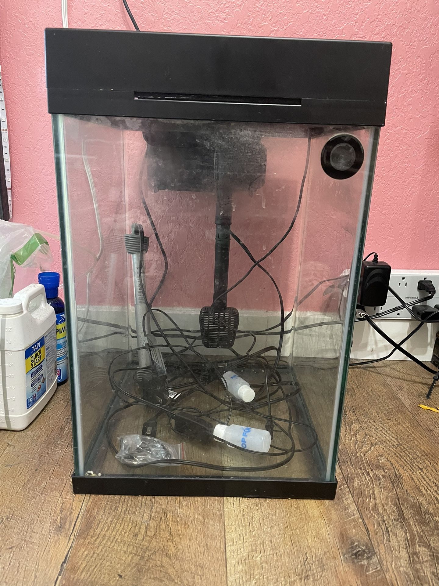 10 Gallon Fish Tank and Large Coral Decor