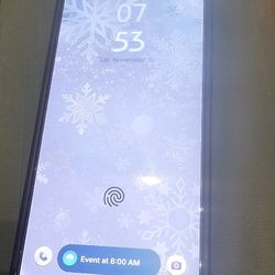 Samsung S25 Ultra 256GB Spectrum