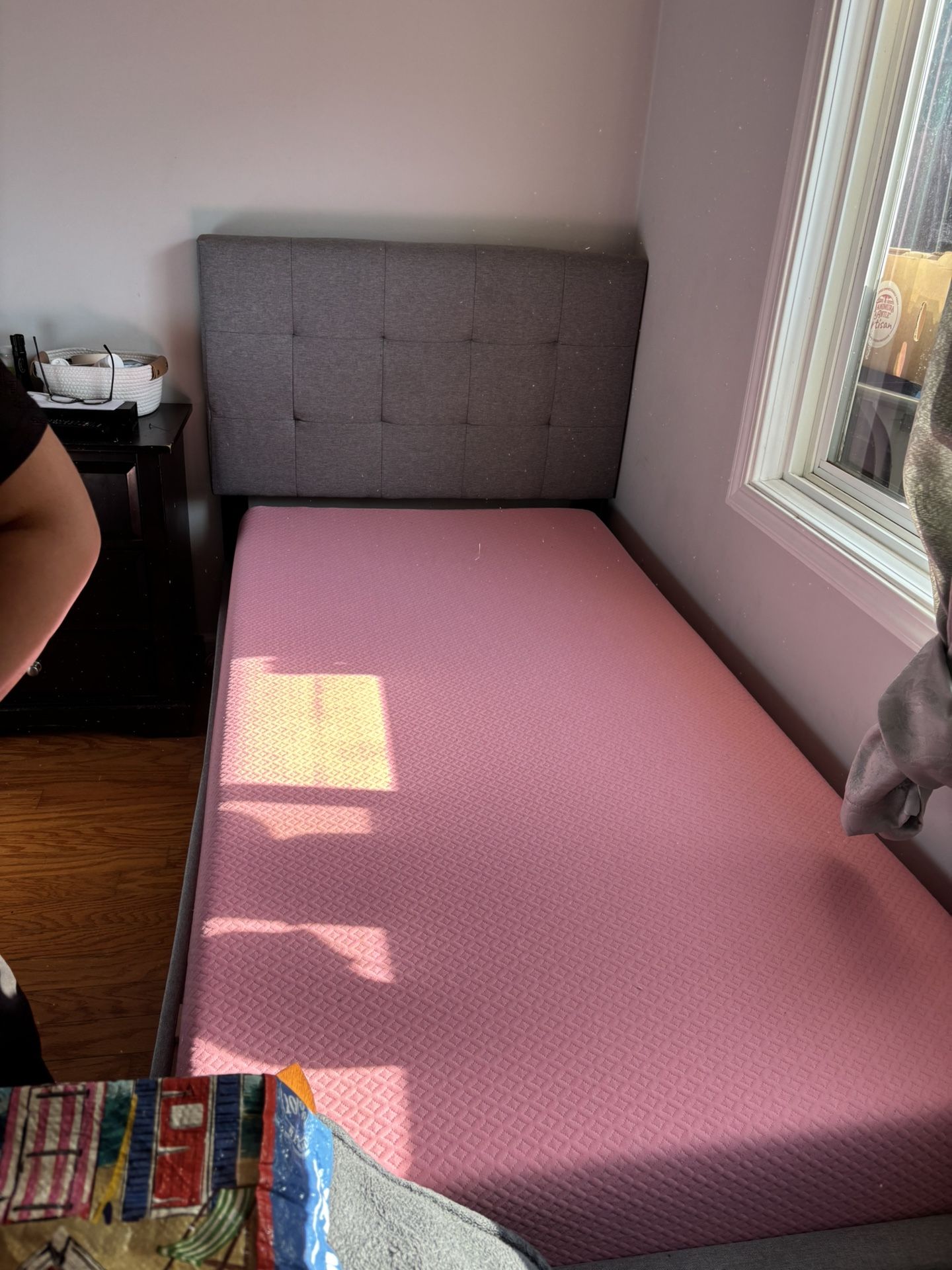 Twin Mattress + Bed Frame