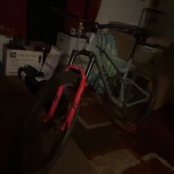 29 Inch Mountain Bike 