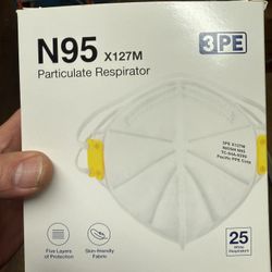 3M N95 Masks