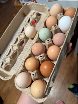 Eggs