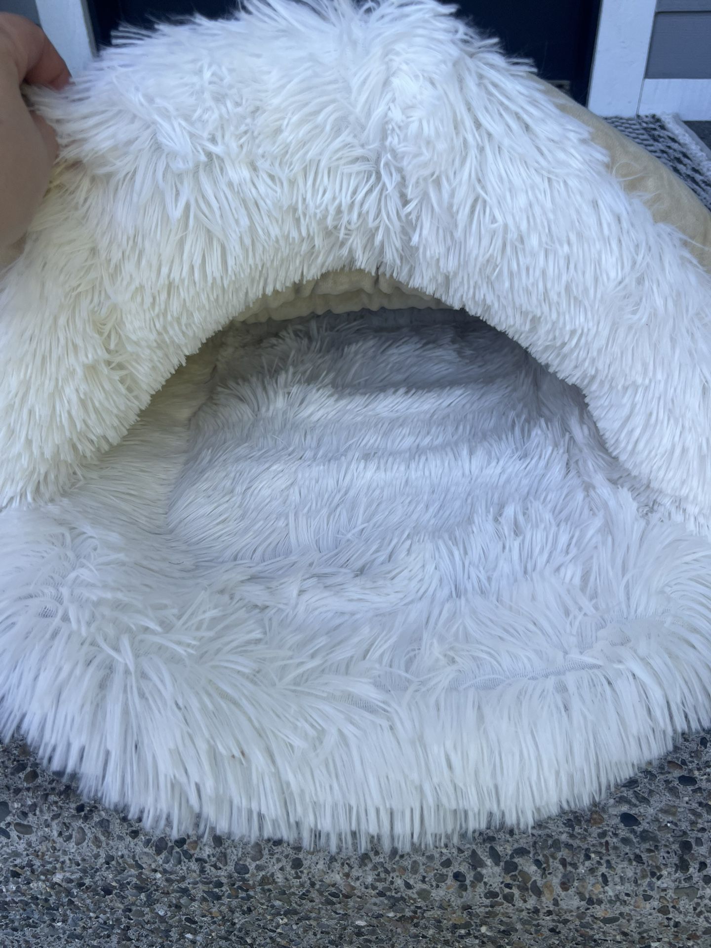 Cat Bed