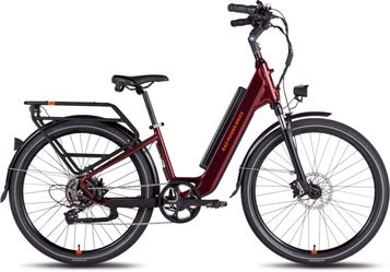 RadCity 5 Plus ST E-Bike