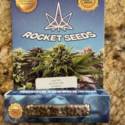 Rocket Seeds Ogk Fem 50 Count Seeds
