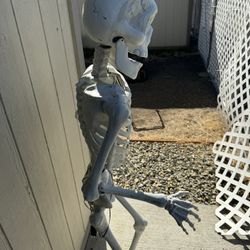 hallowen decoration 