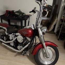 1999 HD Fatboy