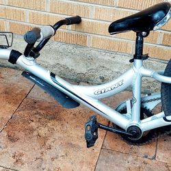 Giant Half Wheeler Kids Trailer Bike
