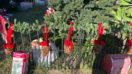 Set Of 5 Christmas Pine Come Hangs