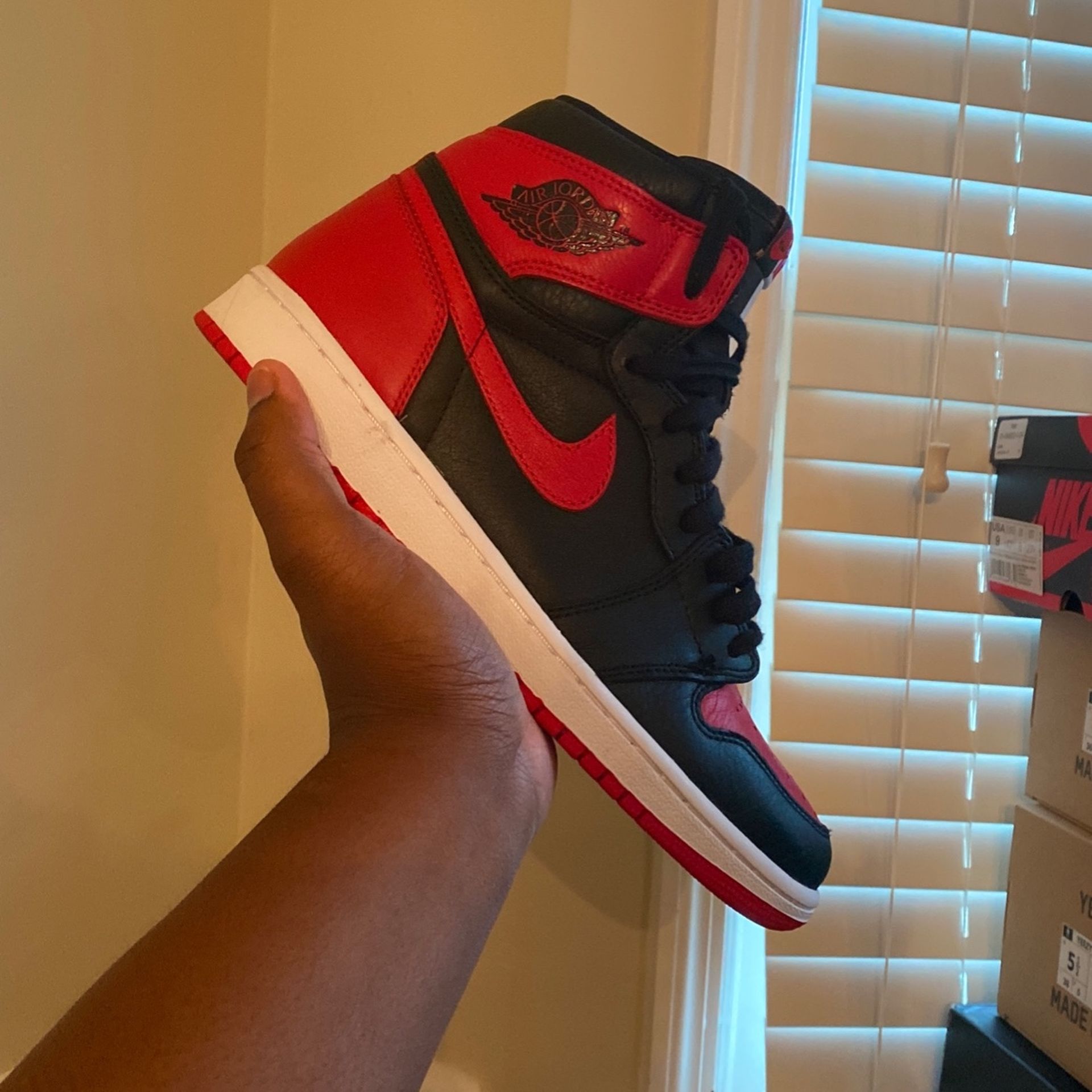 Jordan 1 Homage To Home