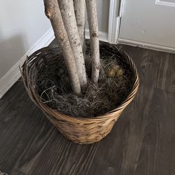 Slightly Worn Faux House Plant 