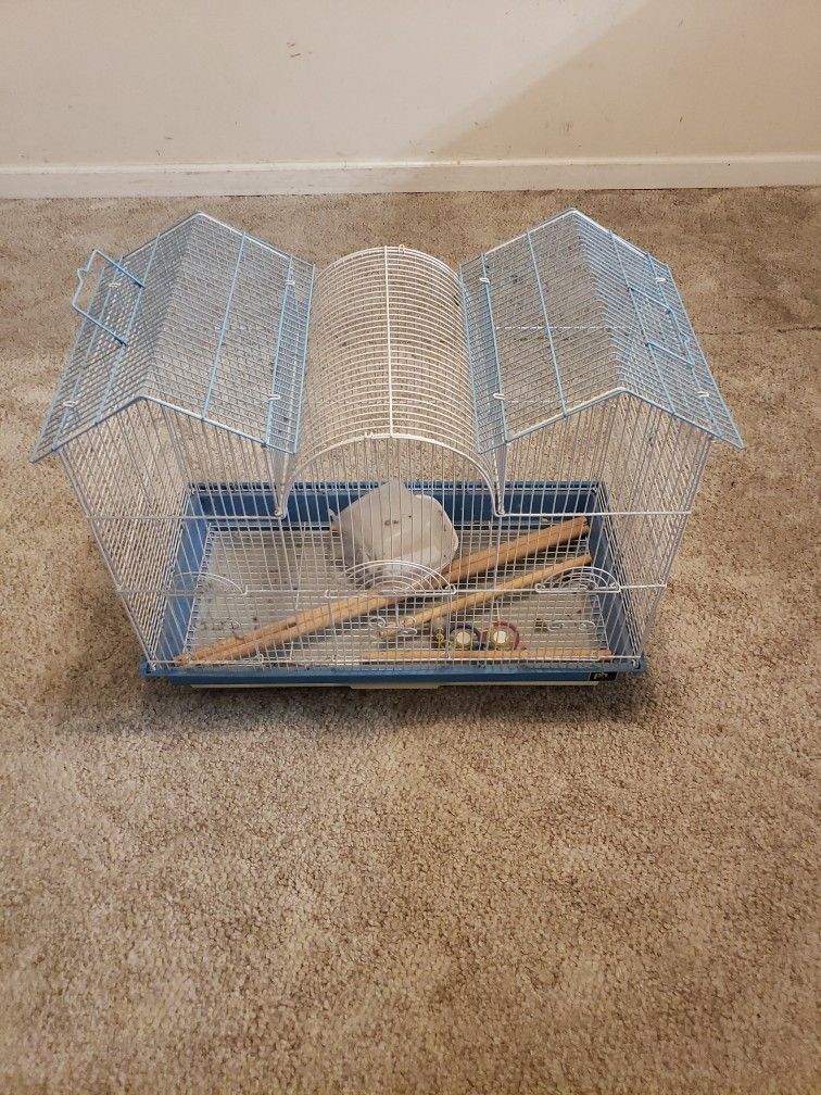 Bird Cage