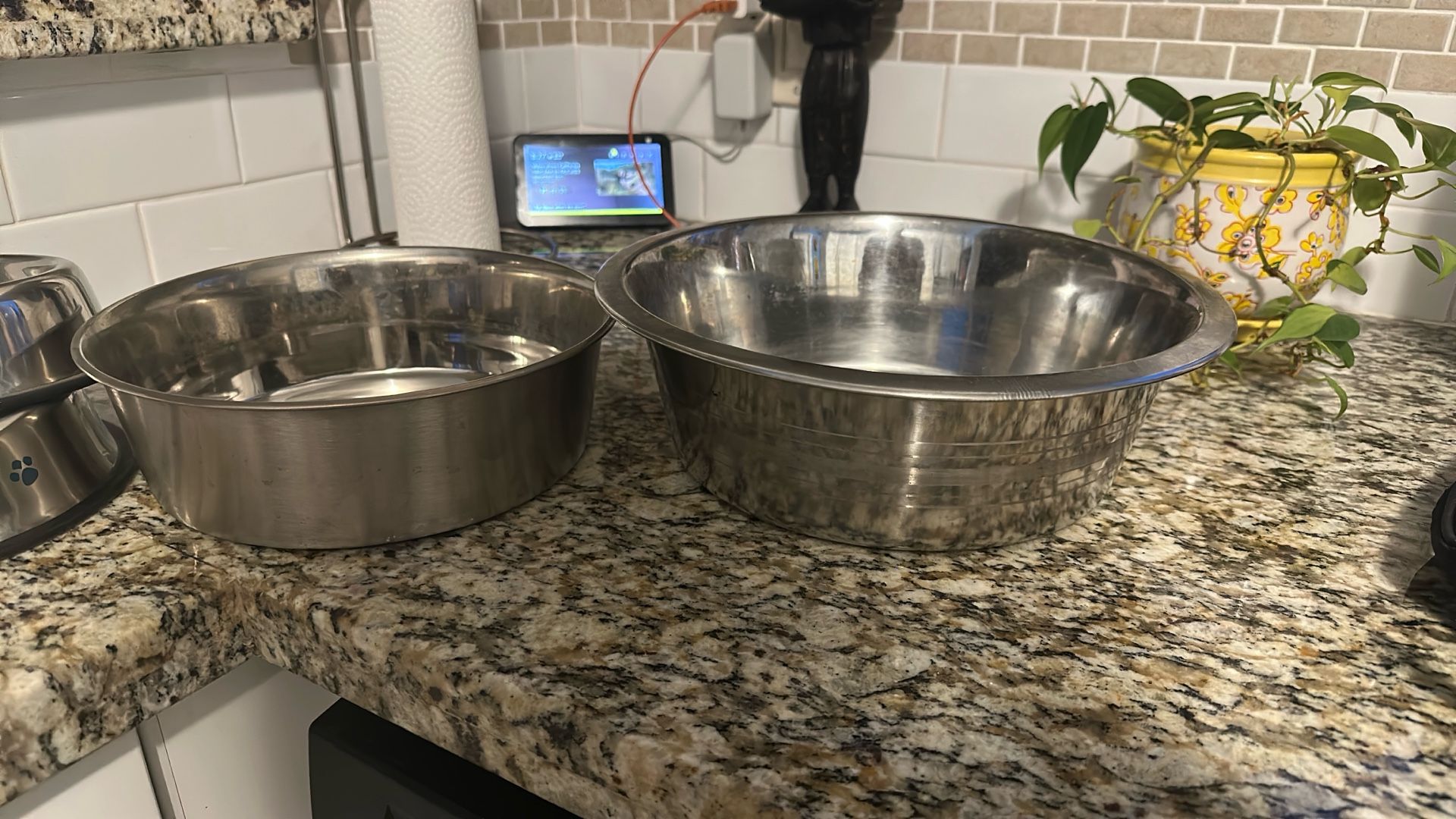 Pet Bowls And Crate