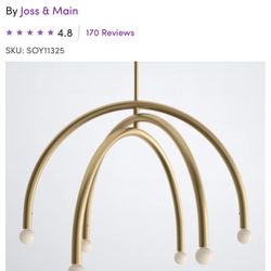 Brand New Chandelier- Joss & Main