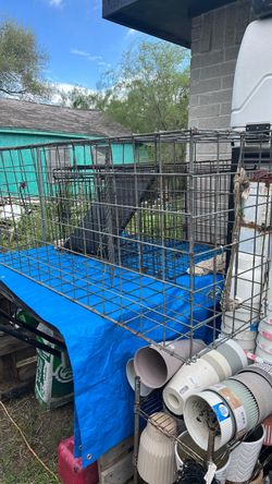Cages for animals $50 for all 3