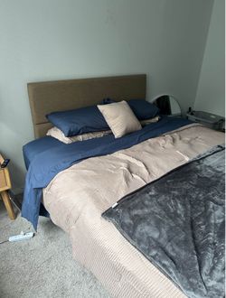Queen Bed Frame and Box Springs