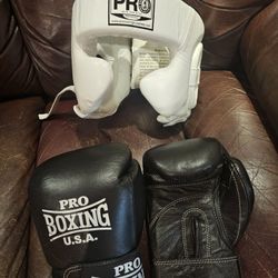 Pro Boxing USA Youth Kickboxing Gear