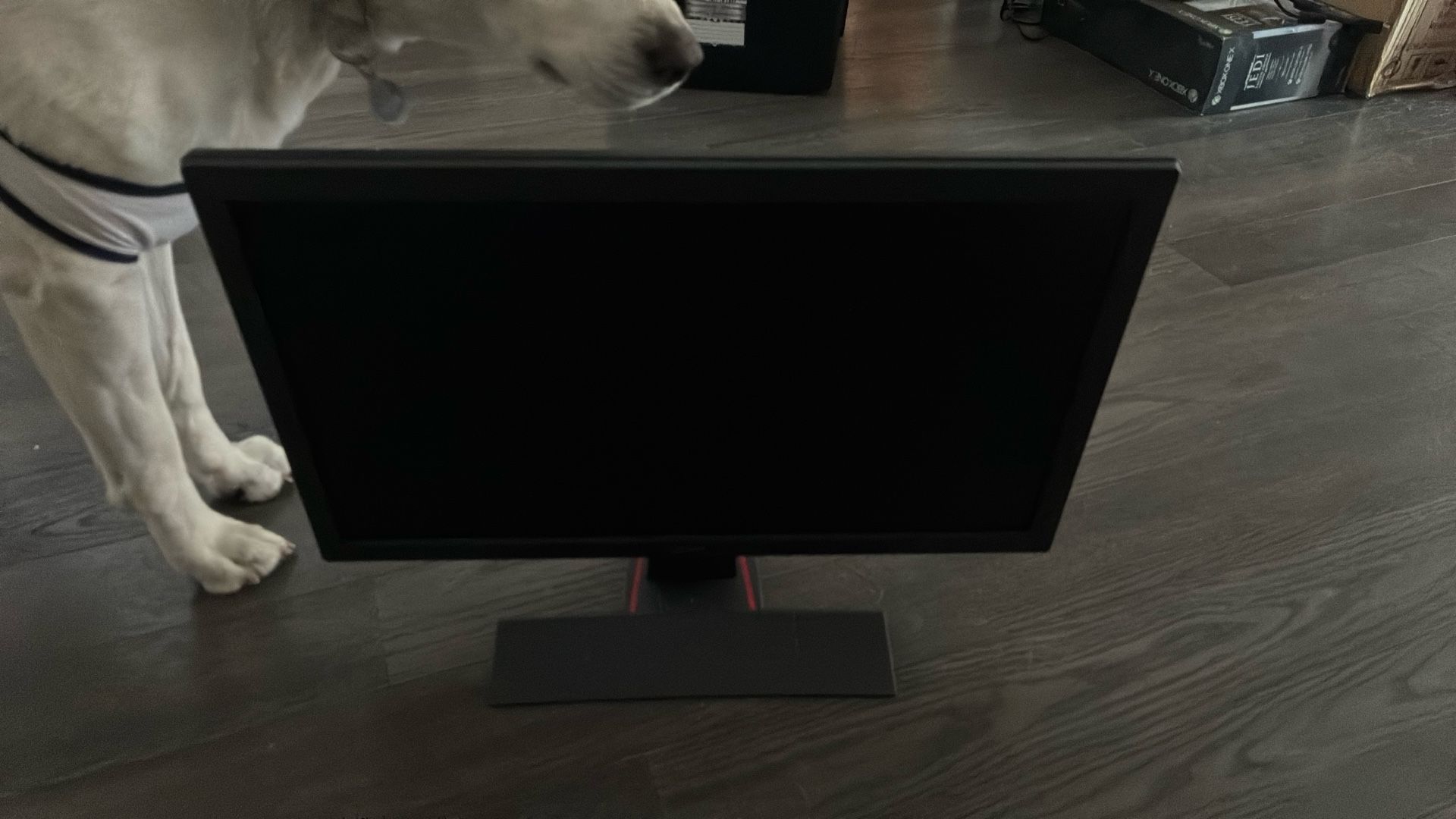 BenQ zowie 60hz monitor 