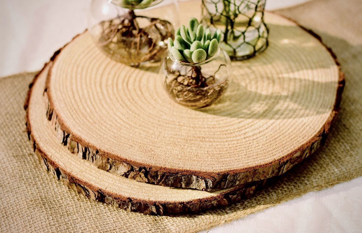 6 Wood Slices 12-13” Diameter