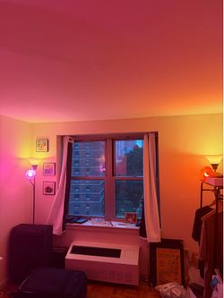 Phillips Hue Bulbs