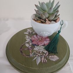 Succulents on Milk Glass Cup