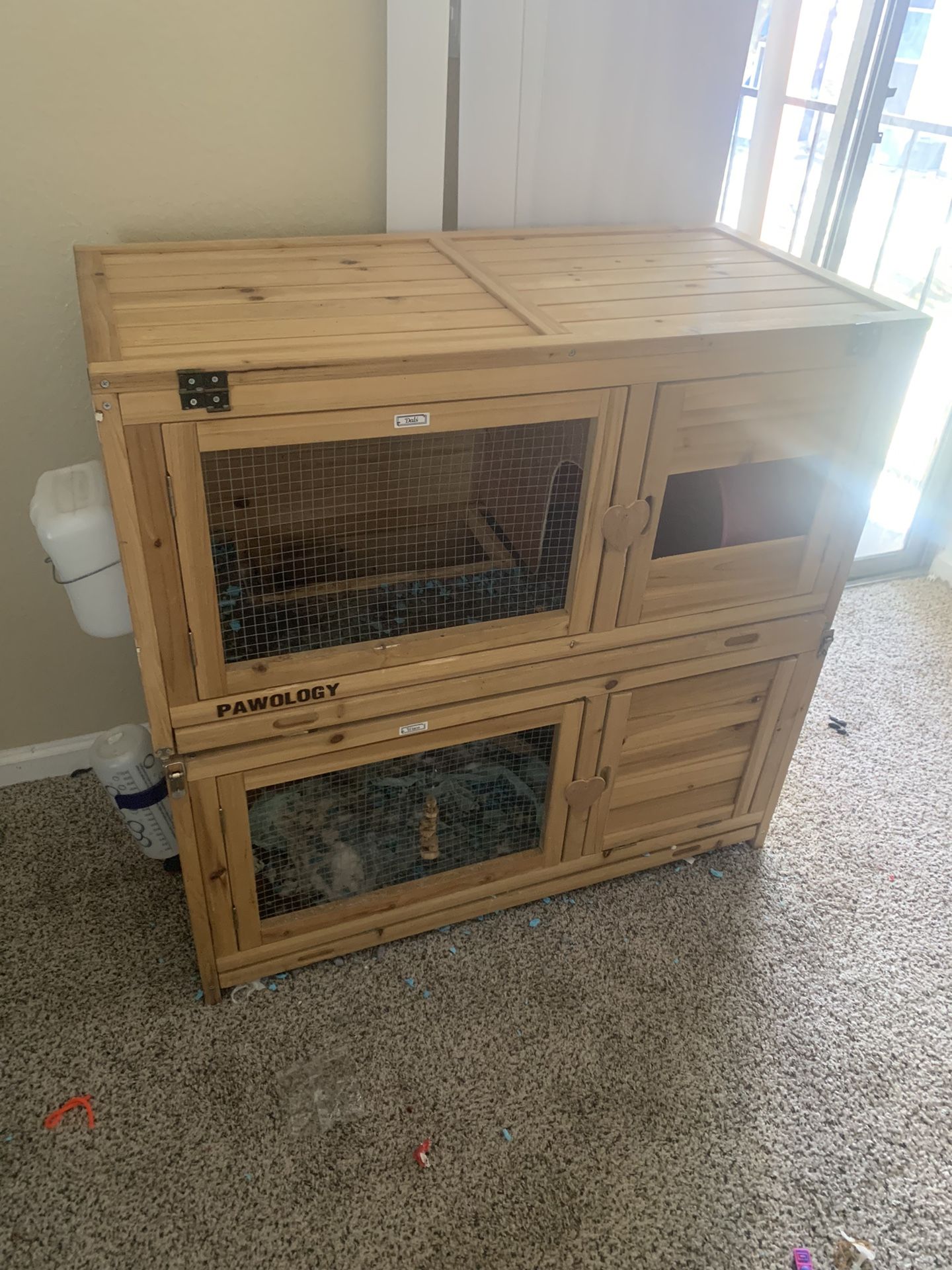 Guinea Pig Cage