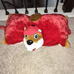 Bucees pillow pet