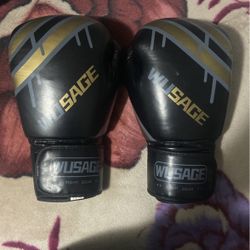 Black 12 Oz Boxing Gloves