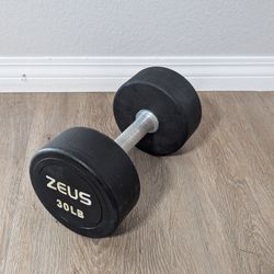 30LB ZEUS Brand Dumbbell