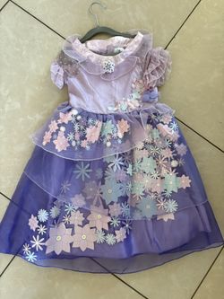 Encanto Isabella Costume Size 4