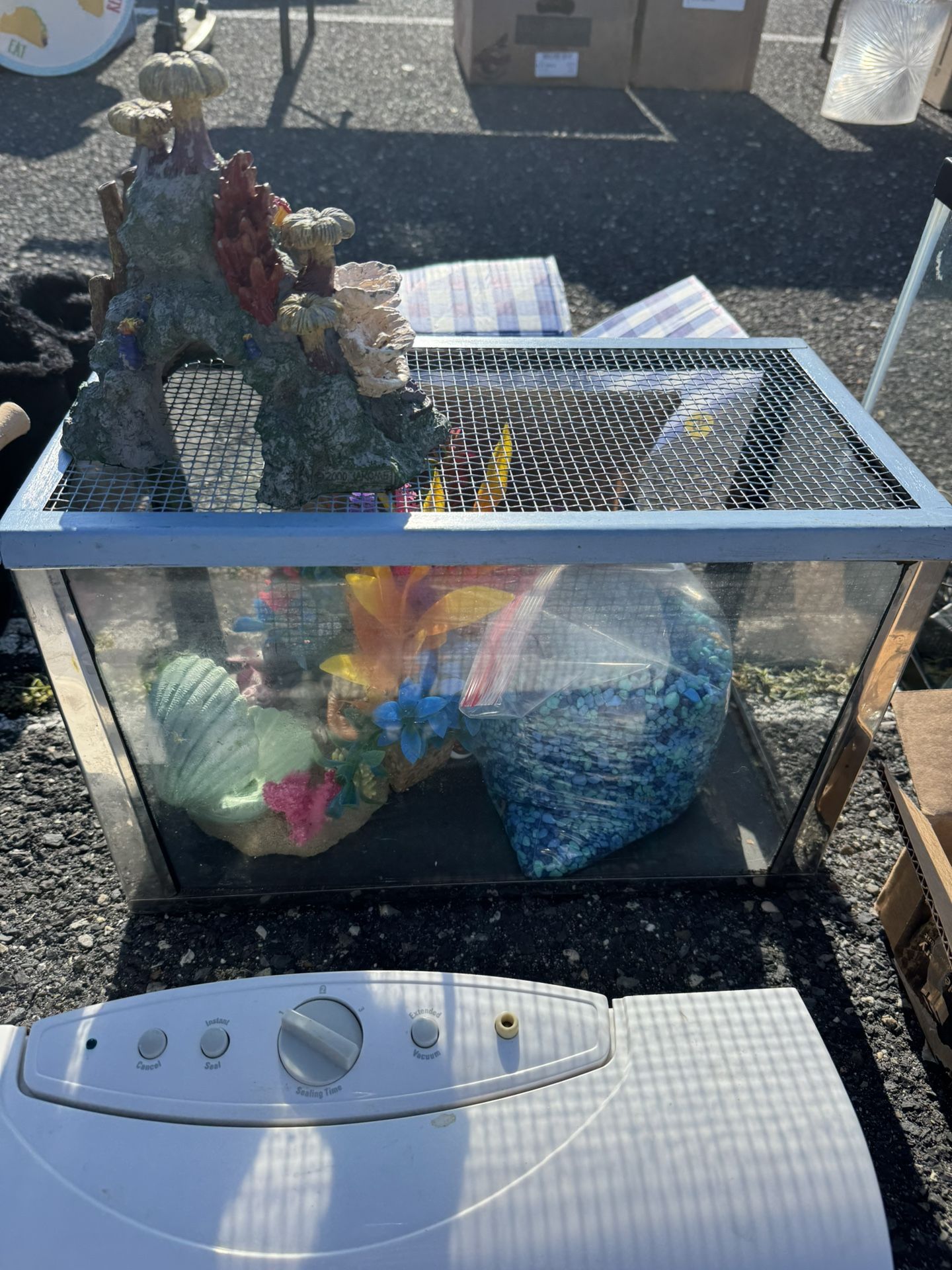 Small Fish Tank 