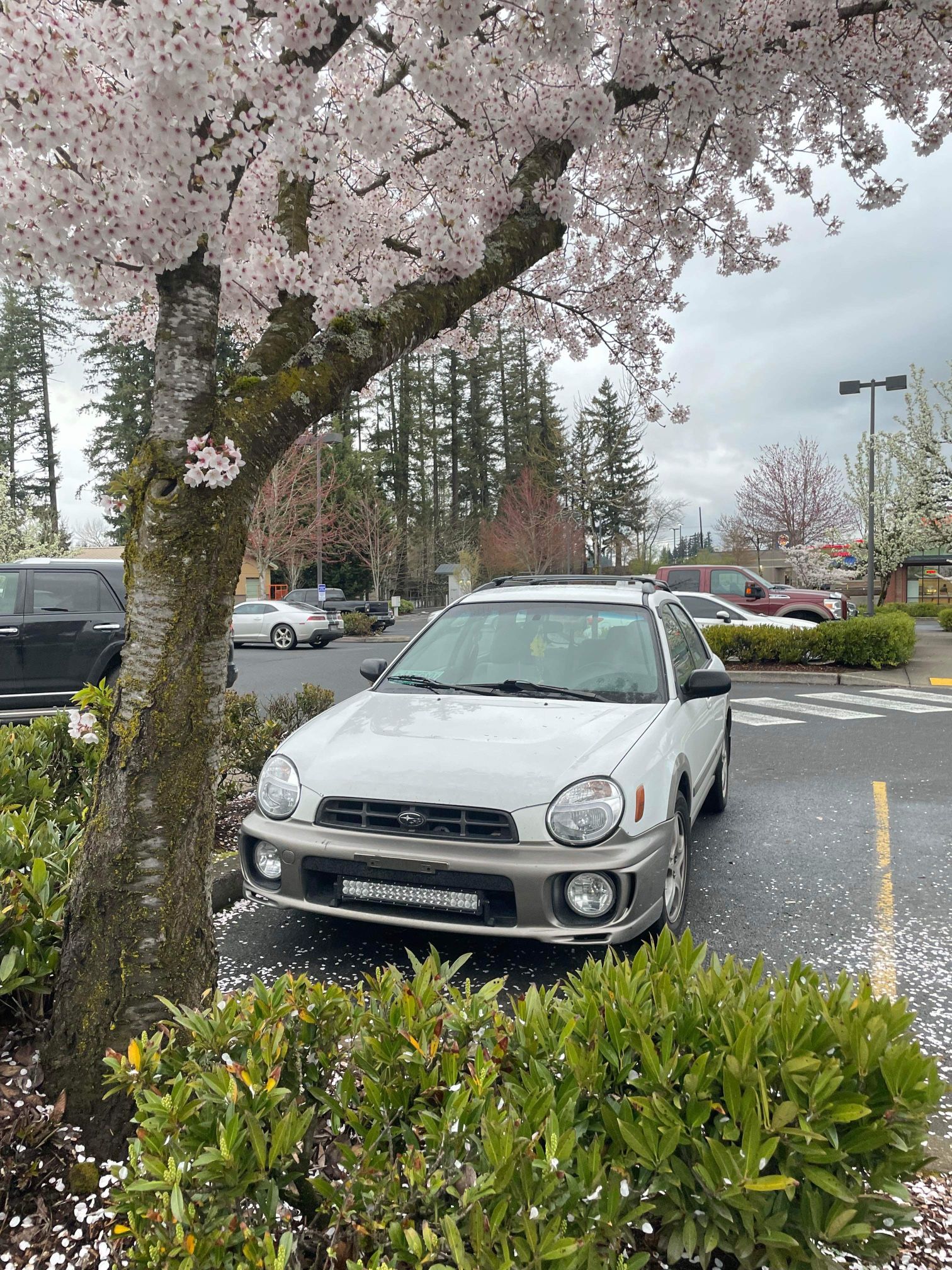 2003 Subaru Impreza