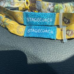 Stagecoach Passes GA