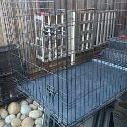 Dog Crate