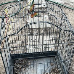 Large Parrot Cage Huge Cage Black Metal 