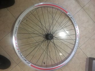 Bike wheels /rim